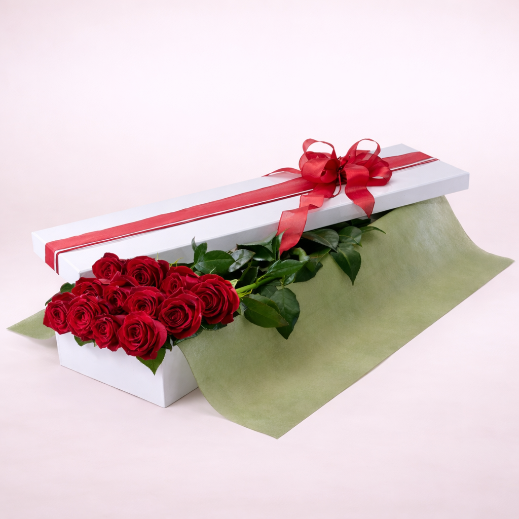 12 Premium Box Red Roses for Valentine's Day