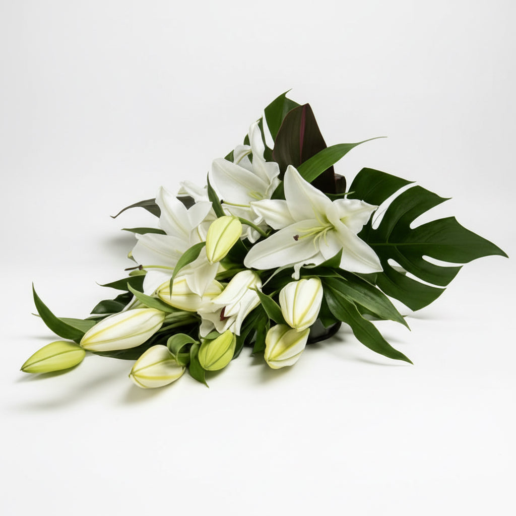 White Oriental Lily